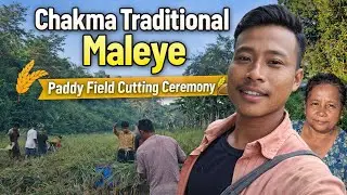 Chakma Traditional Maleye / Paddy Field Cutting Ceremony 🌾🥰&rdquo;