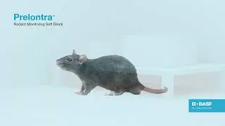 Early Detection with Prelontra Rodent Soft Monitoring Block