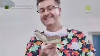 The Bizarre Pet Vets Starts SLO