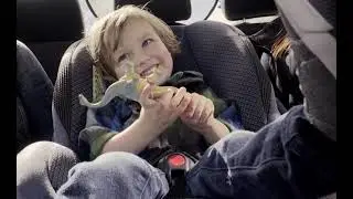 Car Upholstery Cleaning with Zerorez&reg;