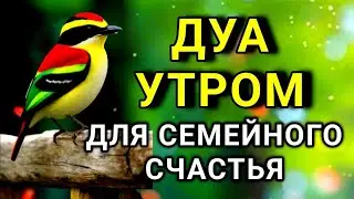 🤲💞 СЧАСТЬЕ В ДОМЕ: ВКЛЮЧАЙ ЭТО КАЖДОЕ УТРО 🔑💖✨💯