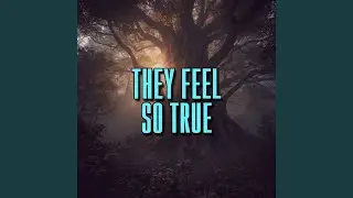 they feel so true