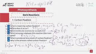 NSMO Olympiad -Biology- Lesson 11 Light Independent Reactions