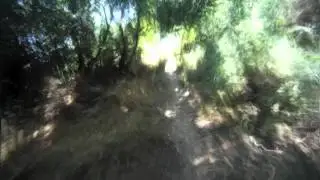 gopro backbone 3_40min h264.mov