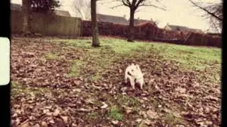 Monty Plays Golf