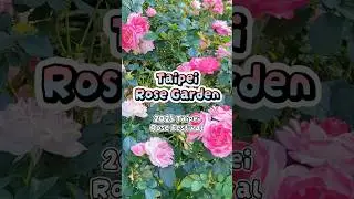 Taipei Rose Garden showcases a stunning variety of roses