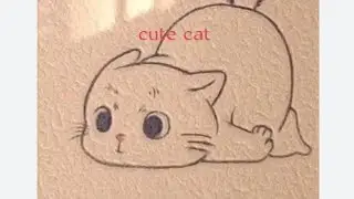 Diy cute cat #long video