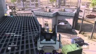 Royalty Ameli Dna