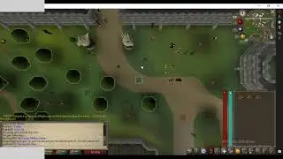 OSRS Multi login ahk bot script showcase