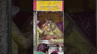 Holi at Banke Bihari Temple - Live Darshan