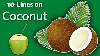 Coconut - 10 Lines on Coconut | TeachMeYT