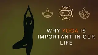 Why Yoga is important in our life #yoga