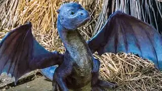 Shepherd Found a Dragon Egg in Cowshed | ERAGON #shorts #crazyclips #movieclips
