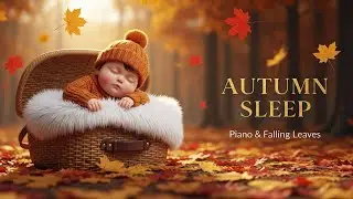 Golden Autumn Sleep Music 🍂 Falling Leaves & Gentle Piano 🎹 Baby Hedgehog