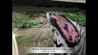 EPSON SC-S50600 A 90MQ/H.m4v