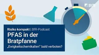«Постоянно присутствующие химические вещества» ПФАС на сковороде: скоро ли их запретят?