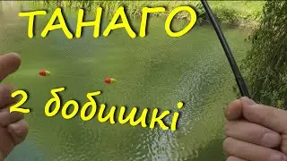 Танаго 