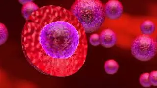 Lyme Disease Treatment in Mexico | Holistic & Regenerative
