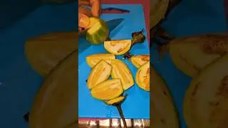Green Round Eggplant is a good source of Antioxidants #shorts #shortvideo #asmrcutting #eggplant