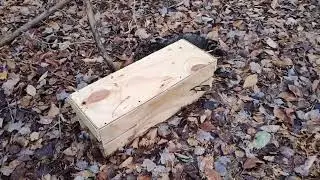 Using Michigan legal 220 conibear boxes #trapping #trapper