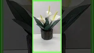 DIY Easy plants making/ Peace lilly plant diy/ Artificial plants/Paper crafts #shorts #youtubeshorts