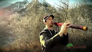 Woodsounds Flutes - A Dream Collaboration
