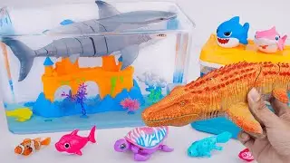 [Toy asmr] RC Shark &RC Mosasaurusk & Zuru Robo Fish & Harp's Aquarium ASMR Satisfying with Unboxing