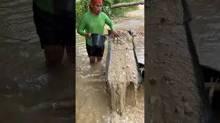 wow,,😱😱!! Finding Gold in River Sand?! Nature's Treasure!💰 februari 2025⚒️