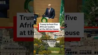 Why is Trump hosting these African leaders at the White House? - BBC Africa