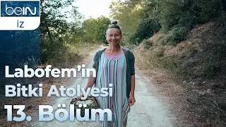 Labofem'in Bitki Atölyesi 13. Bölüm