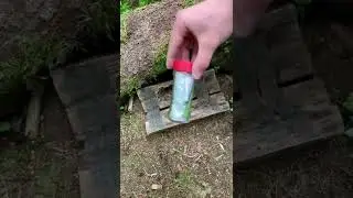 A log INSIDE a log! #shorts