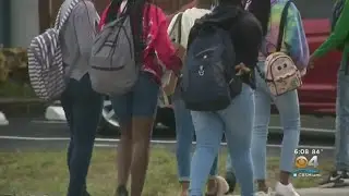 Expanded Summer School Programs Offered In Miami-Dade, Broward