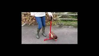 3in1 Video   Wellies   Complete