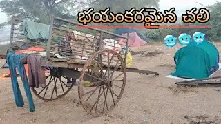 ఈ రోజు చలి మామూలుగా లేదు #fishinglife #fishing