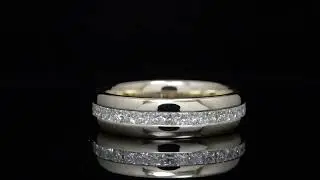 Men's Princess Cut Channel Set Diamond Band - 1927 lG