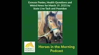 Exmoor Ponies, Health Questions and Weird News for March 19, 2025 by State Line Tack and Poseidon
