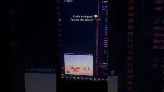 Code acting up? Pets to the rescue ⛑️