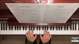 Wilder Reiter (The Wild Horseman) - Schumann