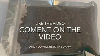 Free gold paydirt giveaway