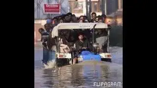 IMG 0597