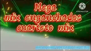 MEGA MIX ENGANCHADO - CUARTETO MIX #VOL.1 - ALE DJ MIX Y @ElGatitoDelBaile 