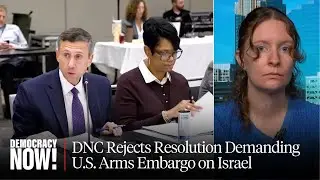DNC Panel Rejects Resolution Demanding U.S. Arms Embargo on Israel
