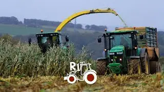 🌽🌽ENSILAGE MAIS 2020 EN BRETAGNE ETA DE L'ELORN JOHN DEERE FENDT NEW HOLLAND SILAGE HAKSELEN🐄🐂