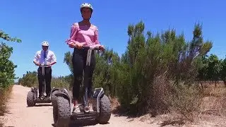 Going Places - Segway Tours at Spier Wine Farm