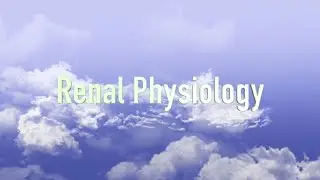 Renal Physiology (VETERINARY TECHNICIAN EDUCATION)