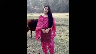 Shaadi ke Profile,Best Marriage Bureau,Best Matrimonial,Best Wedding,Best nikah#shorts,#shorts2025