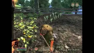 Corrick Northwode