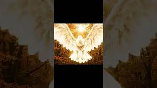 The Golden Eagle Patronus 🦅 | Majestic Spirit Soars!