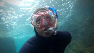 Exploring BERLENGAS, one of most EPIC places to dive in Portugal