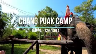Hatyai Trip 2024 : Chang Puak Camp Bangkok Thailand